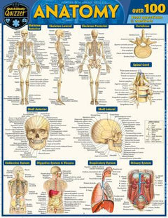 ANATOMY QUIZZER