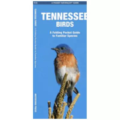 Tennessee Birds